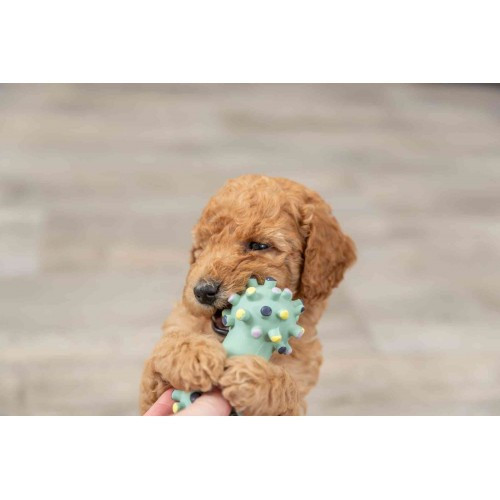 Игрушка Trixie Гантель игольчатая для собак, 10 см (латекс) Винница - изображение 3