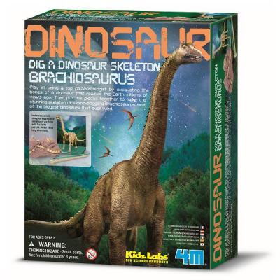 Набор для экспериментов 4М Скелет брахиозавра (00-03237) Винница - изображение 1