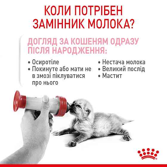 Молоко для новонароджених кошенят ROYAL CANIN BABYCAT MILK 0.3 кг Київ