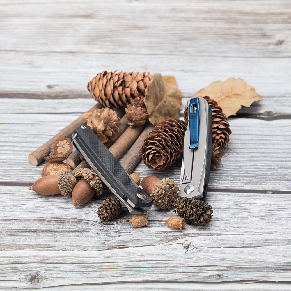 Ніж складаний кишеньковий Ruike M662-TZ, (7.4 см) steel 154СМ / TC4 (титан) + G10 чорний Київ - фото 9