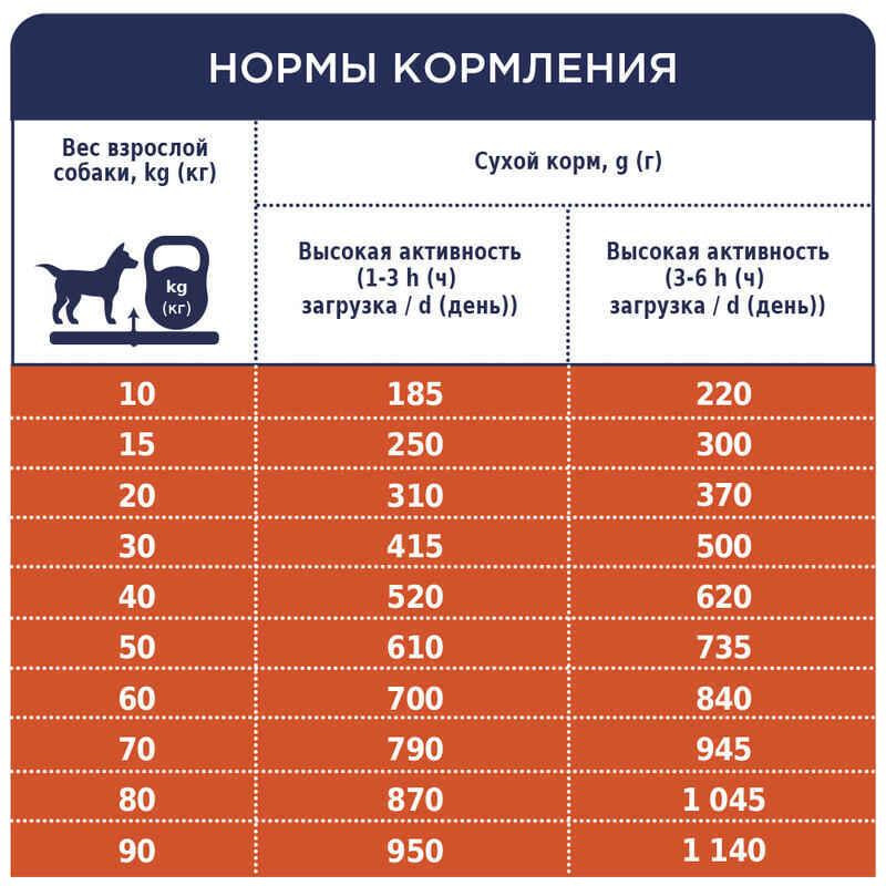 Club 4 Paws (Полуб 4 Лапи) Premium Active Adult All Breeds Chicken сухий корм із куркою для активних собак Запоріжжя - фото 6