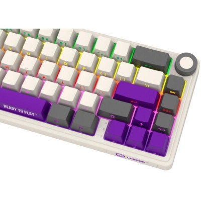 Клавиатура Lorgar KBP70MW Pro RGB Wireless/Bluetooth/USB UA Beige (LRG-KBP70MW-RT-US) Винница - изображение 11