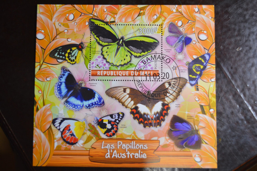 Мали. Марки. Фауна. Блок. 2020 год (В-1) Полтава - изображение 1