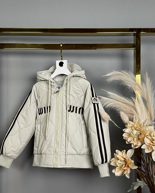 Демисезонная куртка бомбер для девочек с лампасами 116 Николаев - изображение 1