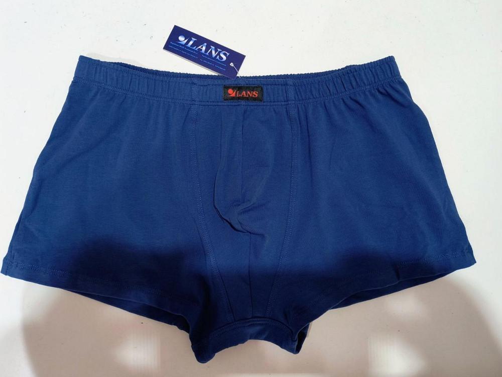 Трусы мужские боксеры Lans 07/005 3XL, Синий Киев - изображение 1
