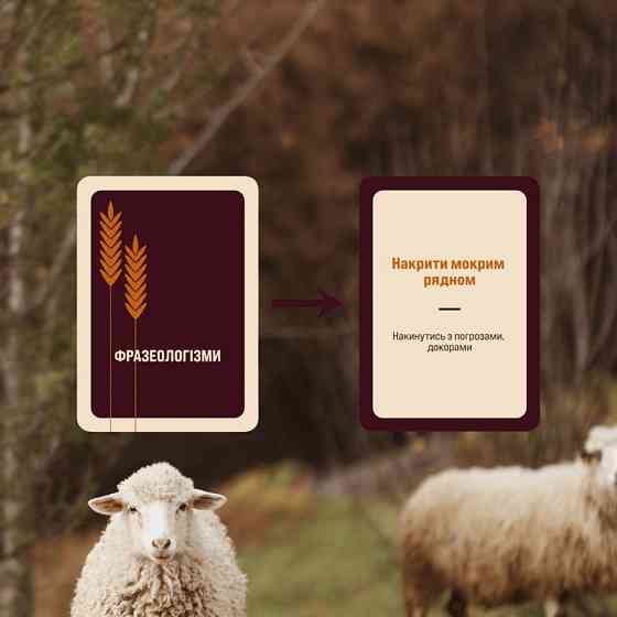 Гра настільна Гра слів MemoGames 0013MG 180 карток, 4 категорії Вінниця