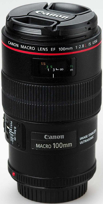Объектив Стоматология, Природа Canon EF 100mm. F/2.8L Macro IS USM Киев - изображение 7