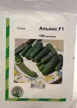 Семена Огурец Альянс F1 100 семян Bejo Zaden Винница