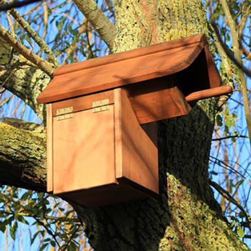 Будиночок для сови "Жеррі" охра Миколаїв - фото 5