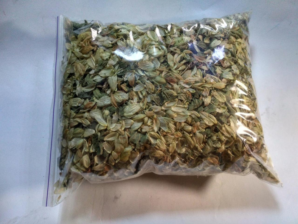 Хміль звичайний (Хмель обыкновенный)100г master sem Киев - изображение 1