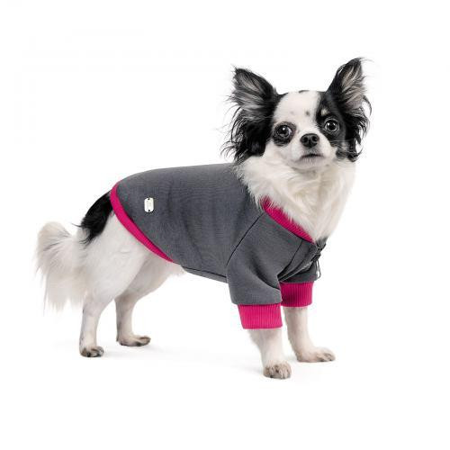 Толстовка Pet Fashion «Bim» для собак, розмір XS2, сіра Вінниця - фото 2