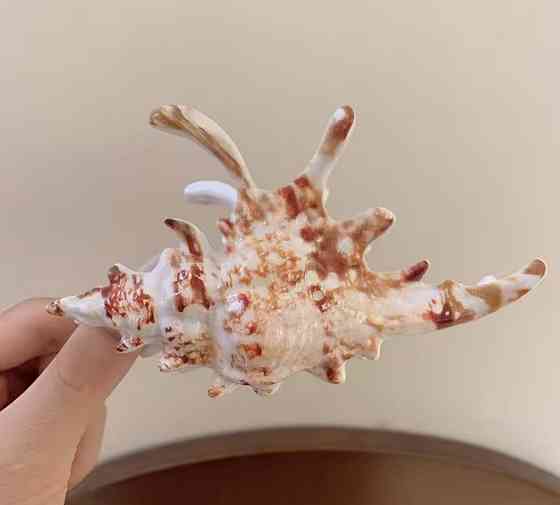 Заколка-крабик 