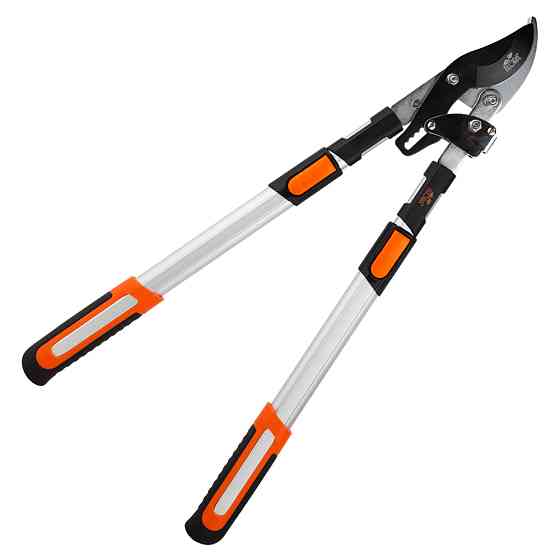 Flora Сучкорез плоскостной телескопический храповый алюминиевые рукоятки 700-874мм FLORA (50223 Киев