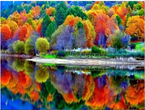 Алмазна мозаїка SANTI "Барви осені", 40*50см на підрамнику, шт Київ - фото 1