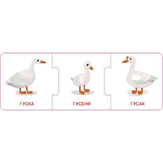 Логічні ланцюжки "Малюки тварини та їхні сім'ї" 1782001 українською мовою Вінниця