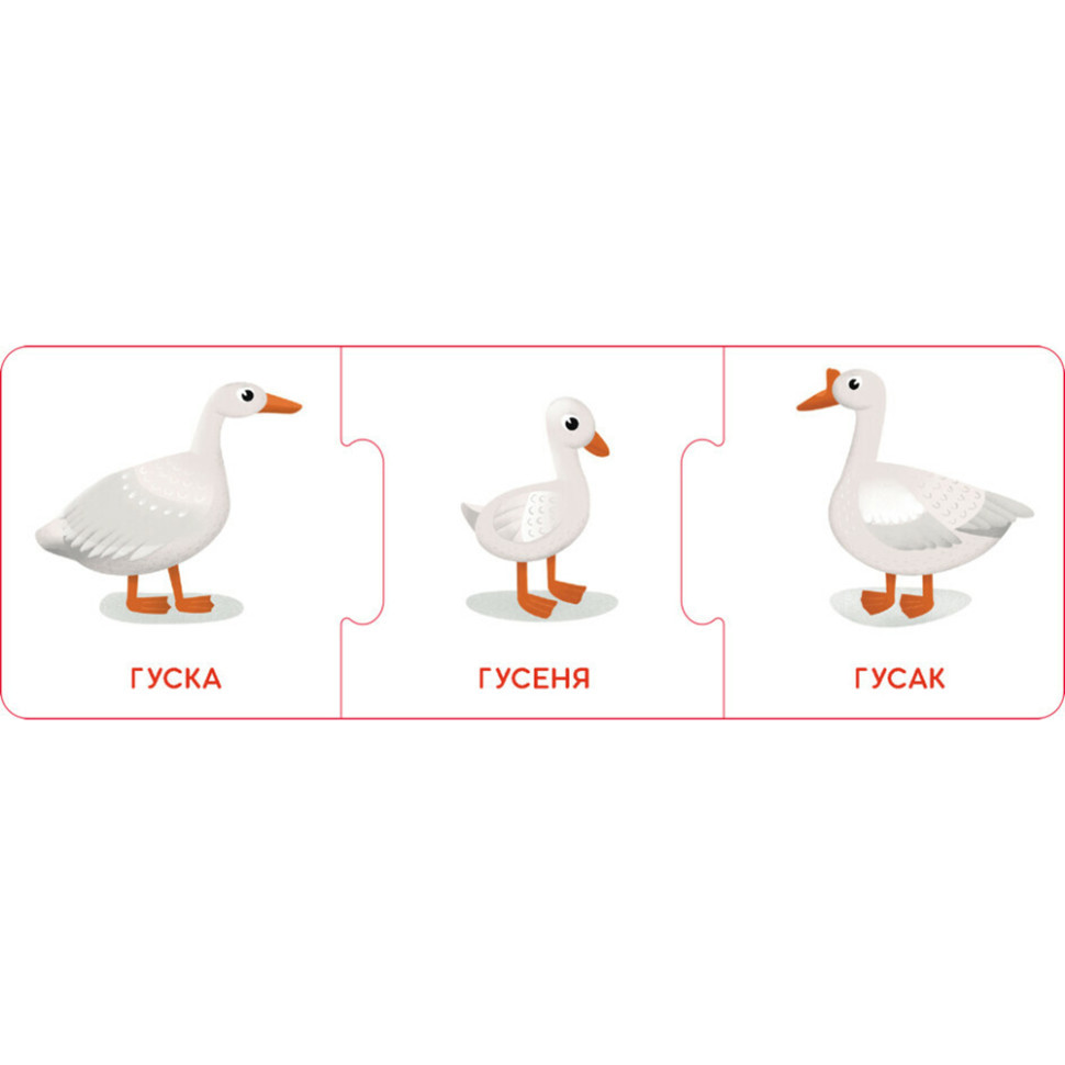 Логічні ланцюжки "Малюки тварини та їхні сім'ї" 1782001 українською мовою Вінниця - фото 5