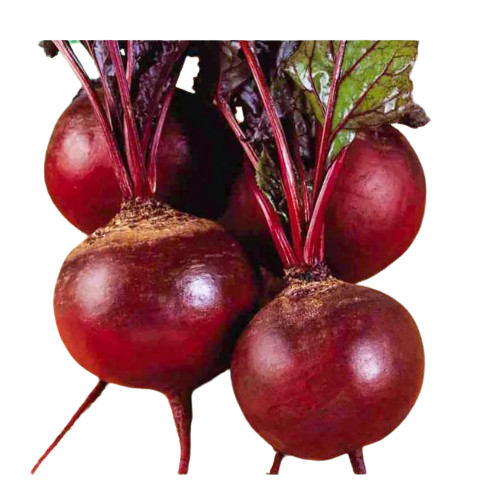 Буряк столовий Детройт круглий 5гр Професійне насіння Житомир - изображение 3