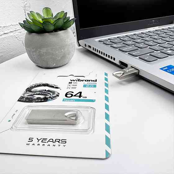 Флешка Wibrand 64ГБ Silver Київ