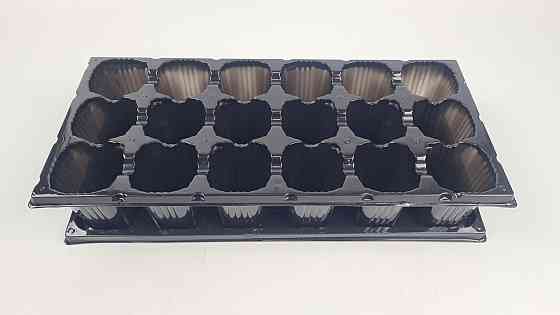 Касета для розсади 44*20,5*8 пластикова з піддоном на 18 V-ячеек-200 см3 (черка60 мм*60 мм*80 мм) (1 шт.) Харків