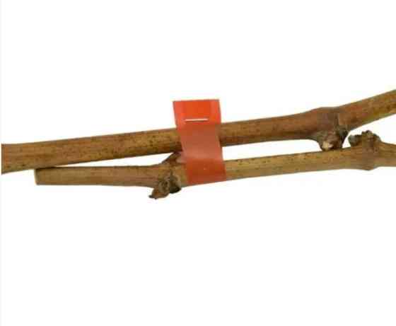 Степлер Тапенер Tapetool для підв'язування садових і городніх рослин Вінниця