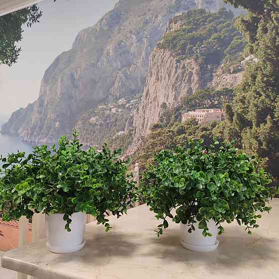 Штучний кущ  Самшиту із латексу Дніпро