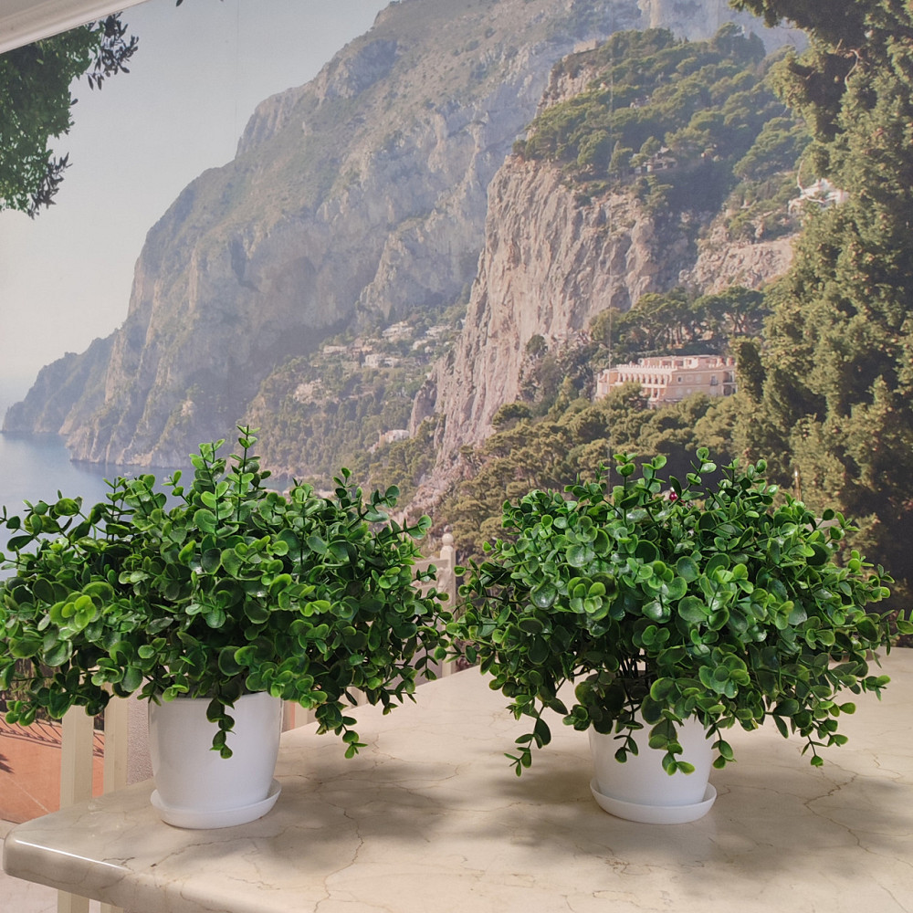 Штучний кущ  Самшиту із латексу Дніпро - фото 6