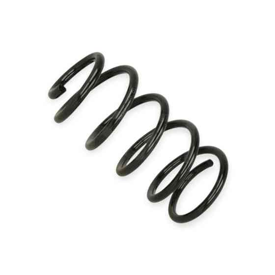 Пружина Fiat Punto 1.2-1.9i, D 99 - задня Мукачево