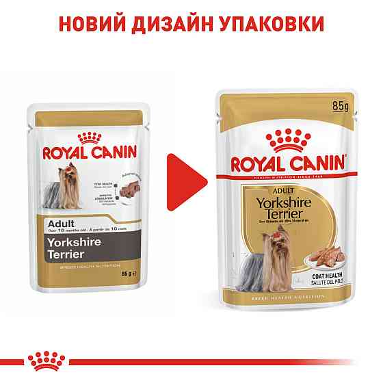 Вологий корм для дорослих собак Йоркшир-тер'єр ROYAL CANIN YORKSHIRE ADULT 0.085 кг Київ