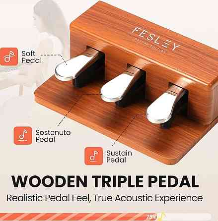 Цифрове піаніно Fesley FEP760 (стійка, 3 педалі, пюпітр, адаптер) Харків