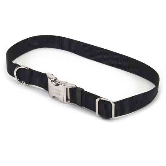 Coastal Titan Buckle КОСТАЛ ТИТАН нашийник для собак, 1.9х36-51cм Київ