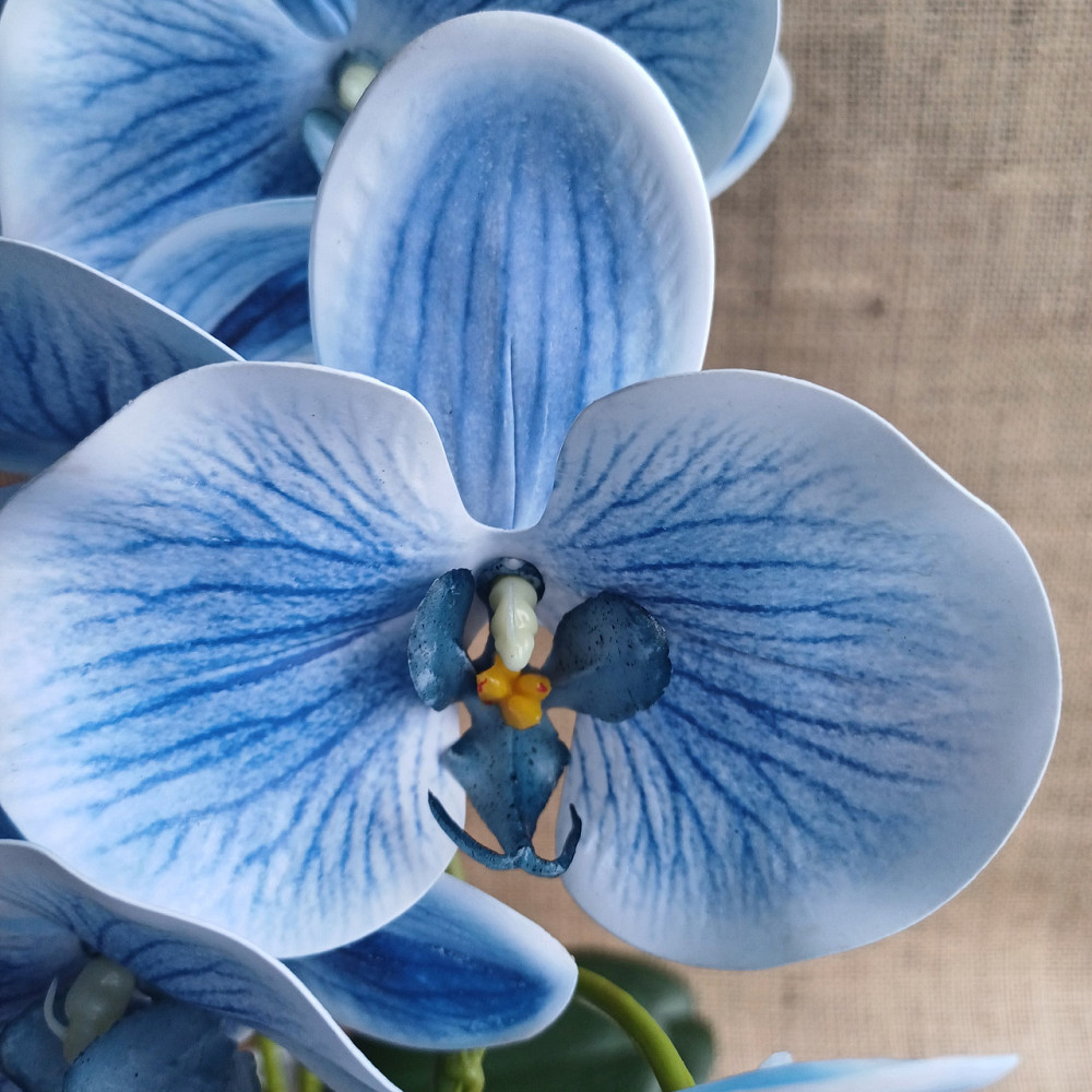 Штучна латексна орхідея VIP у білому керамічному кашпо на дві гілки блакитна Дніпро - фото 6