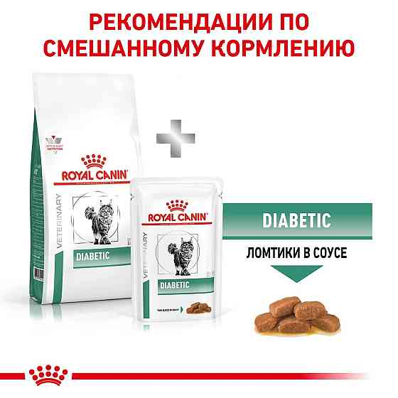 Royal Canin Diabetic (Роял Канін Діабетик Фелін) сухий корм для котів у разі цукрового діабету Запоріжжя