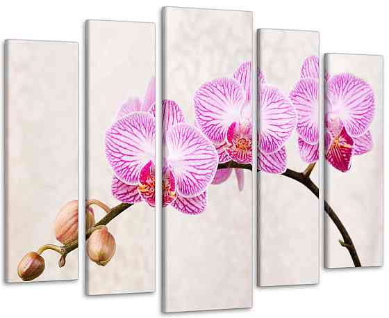 Модульная картина Орхидея Art-130_5 115x170 см Киев