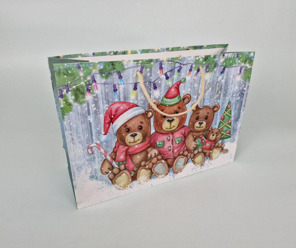 Бумажные пакеты большой горизонтальный 36/22/10  новоголний-16 (12 шт) Харьков - изображение 1