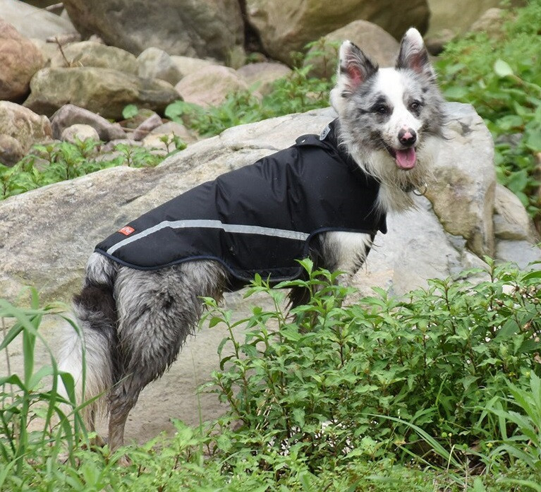 Водонепроникна куртка для собак BlackDoggy (БлекДоггі) VC-JK12013 XXXL, Чорний Запоріжжя - фото 7