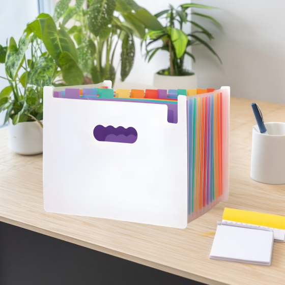 Папка-органайзер для хранения документов и файлов формат А4 на 24 отделения,,с цветными вкладками,черная 330x240x30 мм Каменец-Подольский