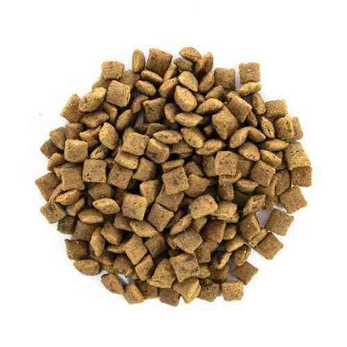 Корм сухой Brit Care Cat Grain Free Senior Weight Control для пожилых кошек с избыточным весом с курицей 2 кг Киев