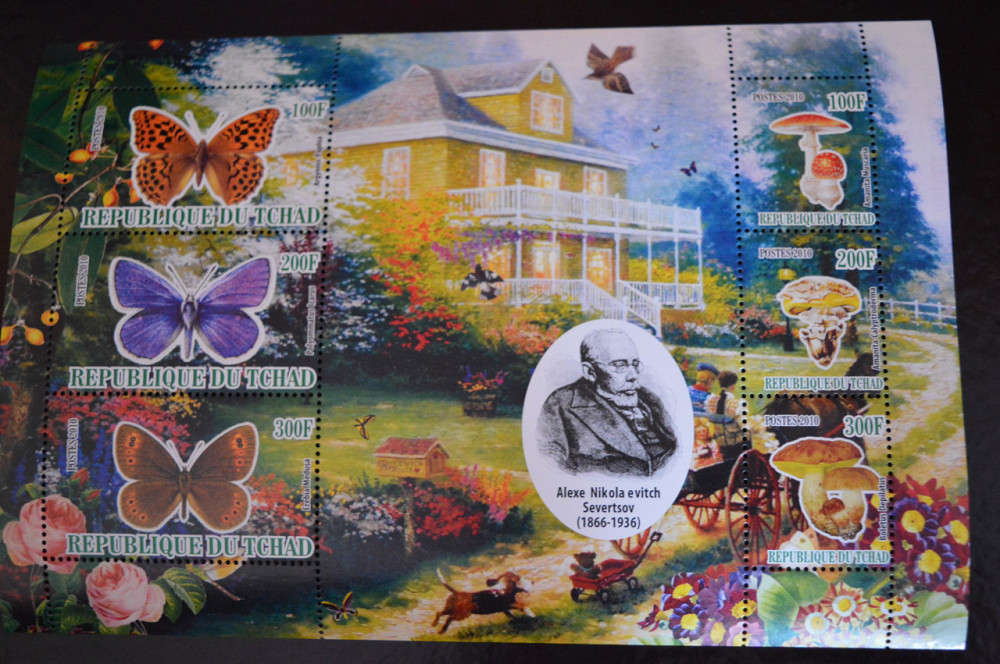 Чад. Фауна. Личность. 2010 год Полтава - изображение 1