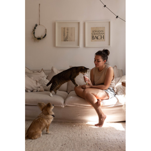 Вітаміни GimCat Expert Line Senior для старіючих котів старше 7 років паста 50 г Київ - фото 3