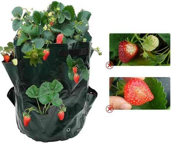 Вазон кашпо мешок-сумка для выращивания саженцев в теплице,саду огороде для рассады овощей,ягод размер 40х23 Каменец-Подольский