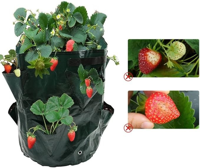 Вазон кашпо мешок-сумка для выращивания саженцев в теплице,саду огороде для рассады овощей,ягод размер 40х23 Каменец-Подольский - изображение 6