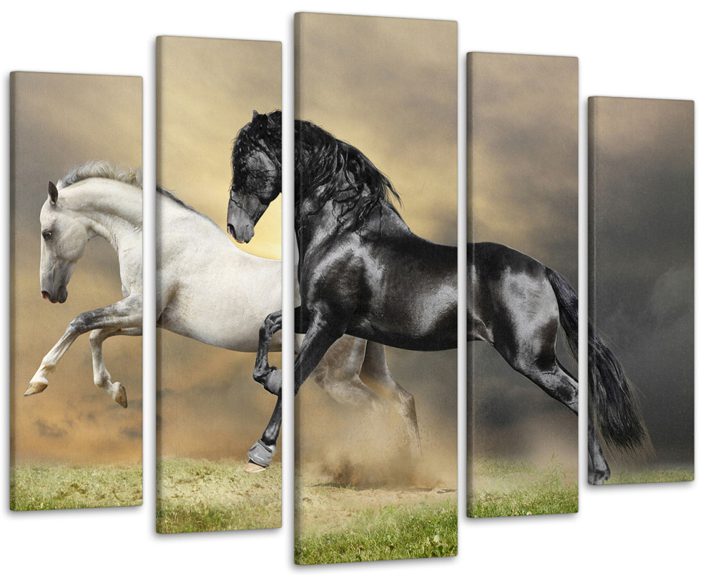 Модульна картина Коні Art-71_5 Київ - фото 1