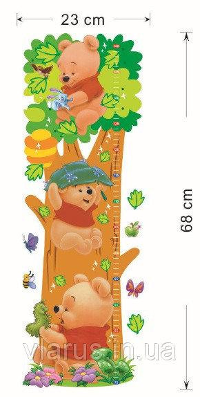 Наклейка ростомір на стіну Вінні Пух Київ - фото 6
