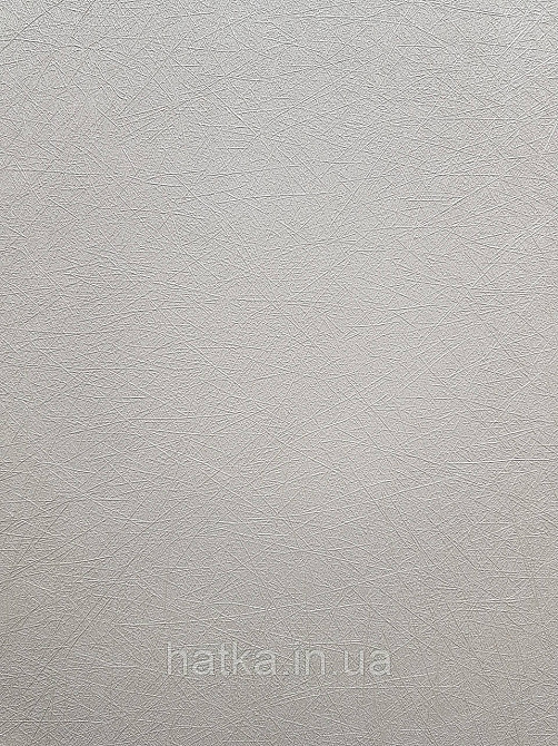Шпалери метрові вінілові на флізеліні A.S.Creation Flowers Symphony1.06x10 смужки павутинка світло-сірі перламутр Київ - фото 1