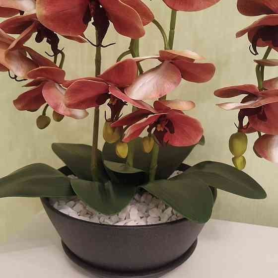 Штучна латексна орхідея VIP у керамічному кашпо кольору антрацит на три гілки персикова Дніпро