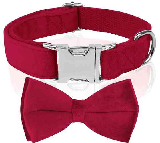 Нашийник для собак з метеликом Wirktive розмір L Луцьк