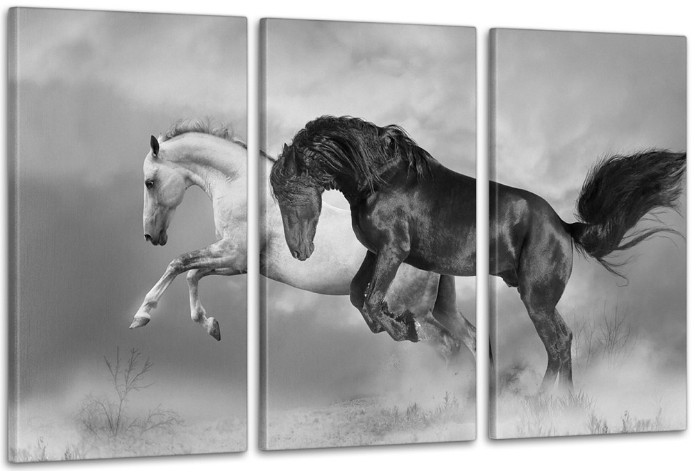 Модульная картина Природа Лошади Art-40_3А 70x130 см Киев - изображение 1