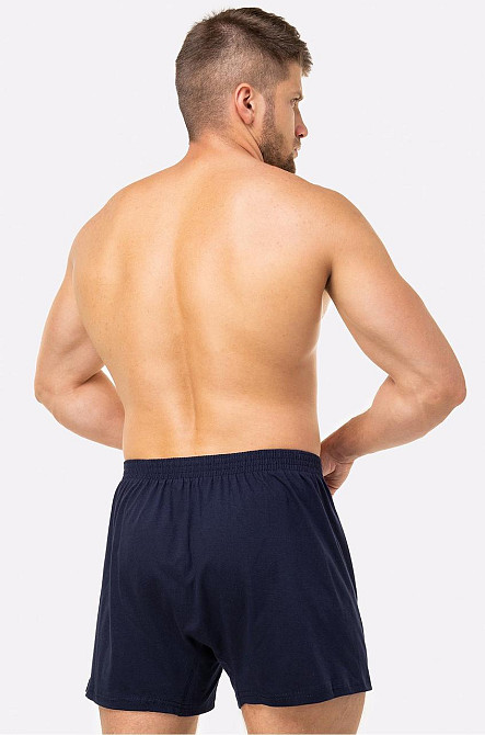 Труси чоловічі бокси Lans 01/004 L, Синій Київ - фото 2