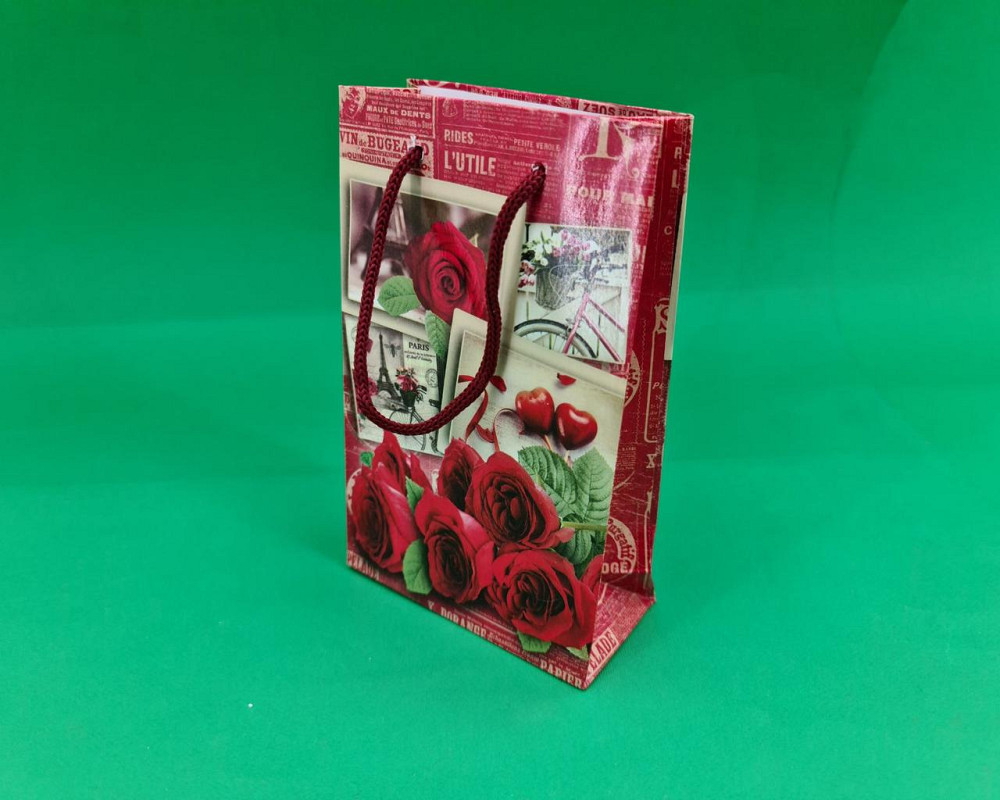 Пакет паперовий подарунковий малий 11/18/5 (арт М036) (12 шт.) Харків - фото 1