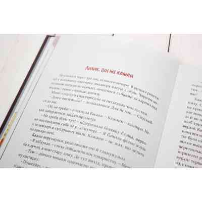 Книга Мишкові Миші - Галина Вдовиченко Видавництво Старого Лева (9786176794349) Вінниця